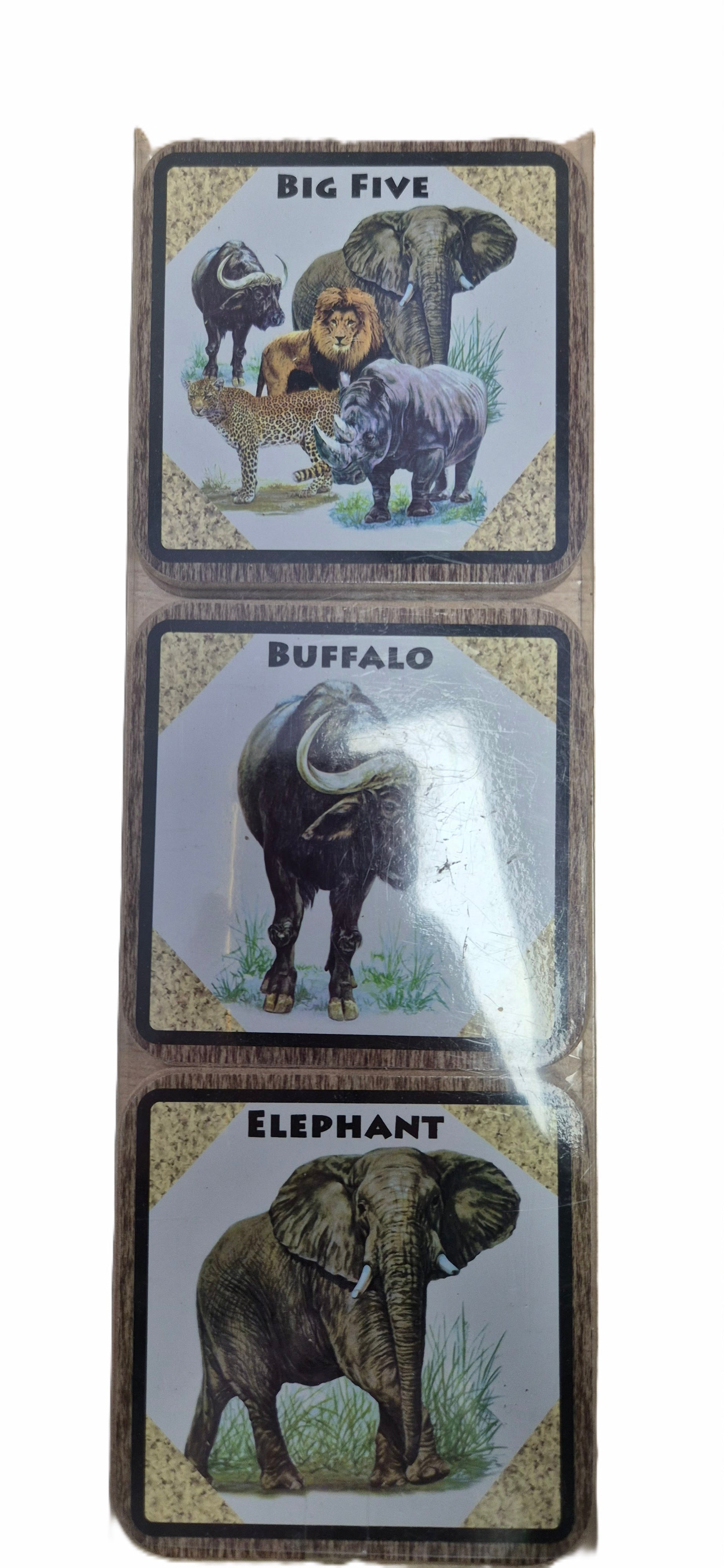 Big 5 Coasters