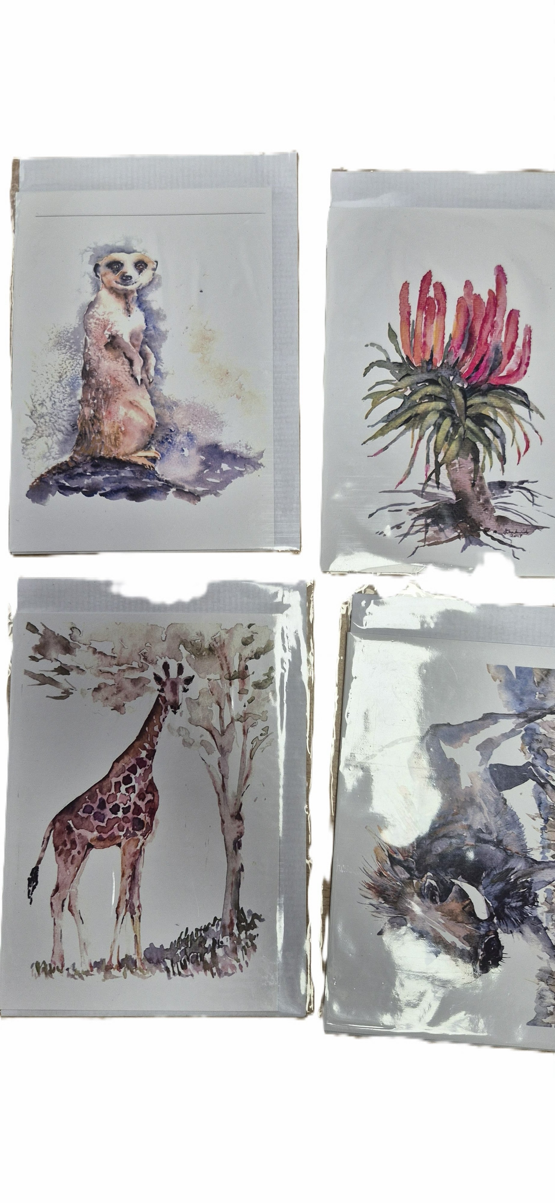 African animal cards