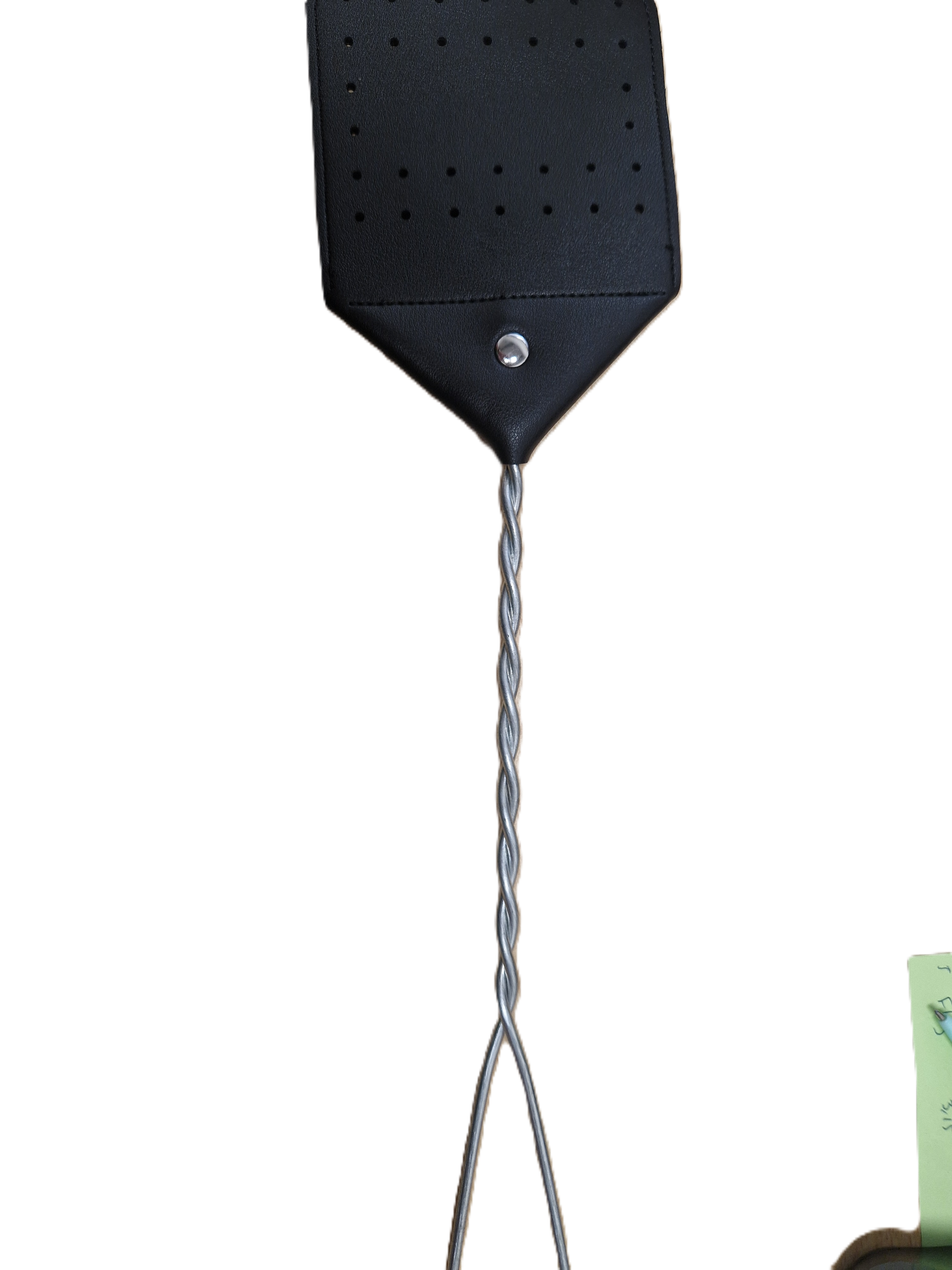 Fly Swatter