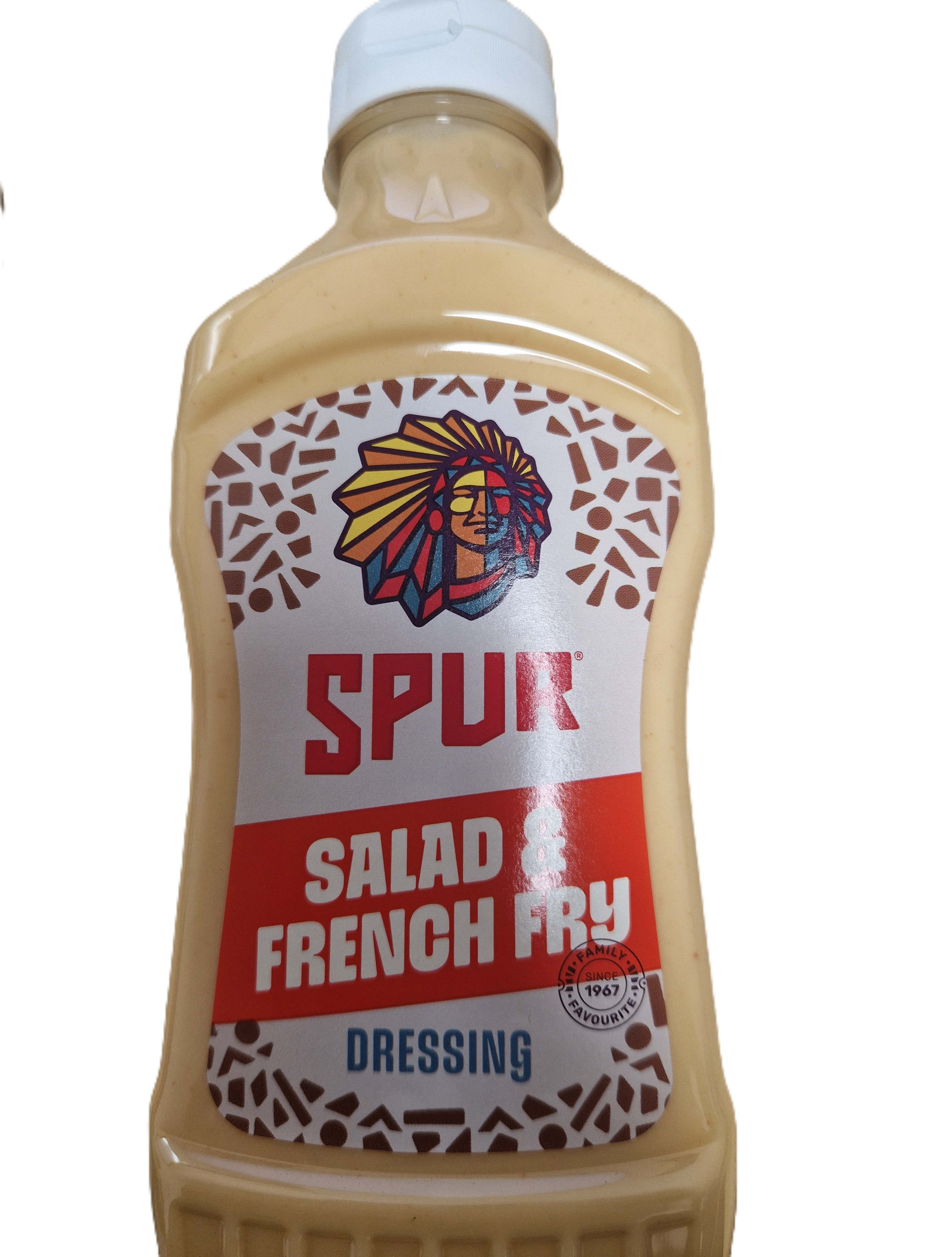 Spur Salad &French fry dressing