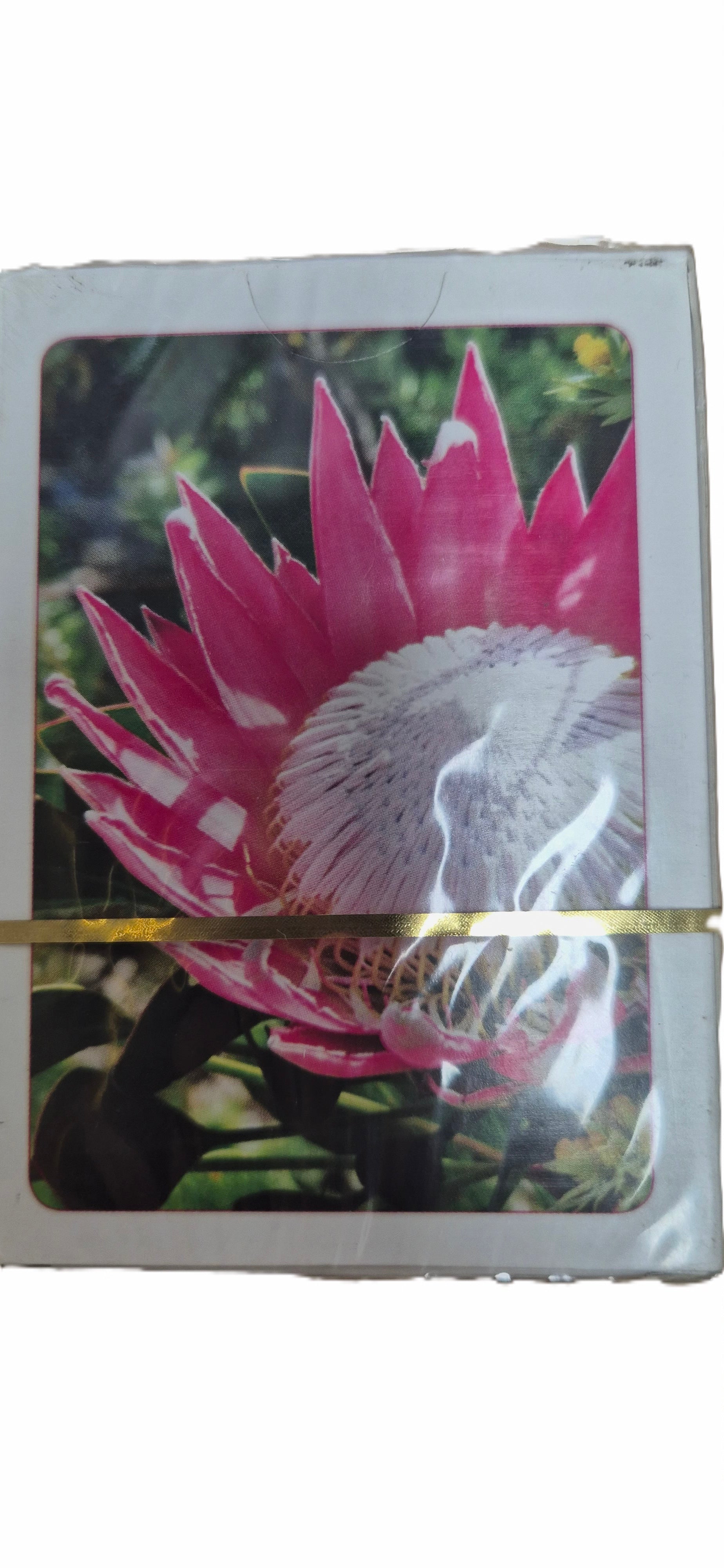playing cards Proteas
