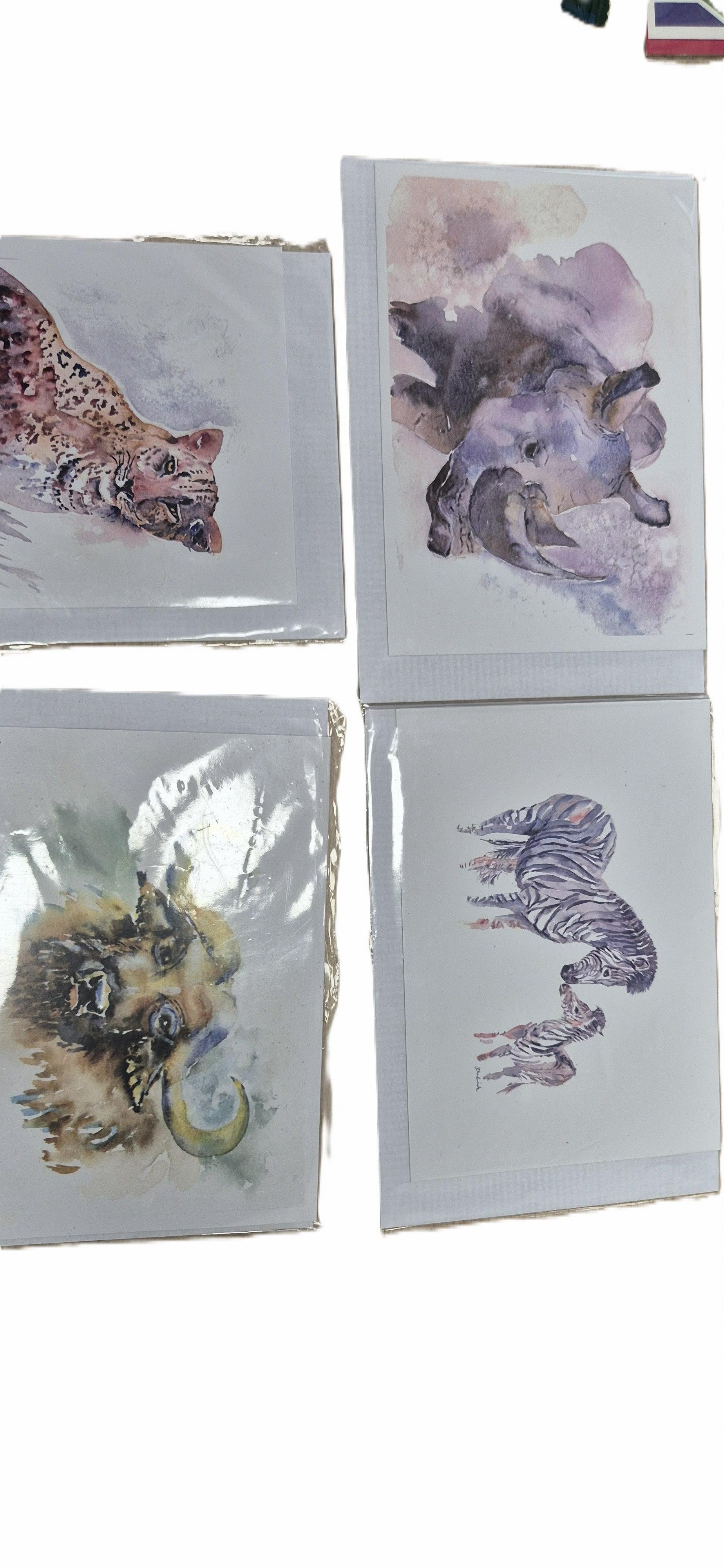 African animal cards