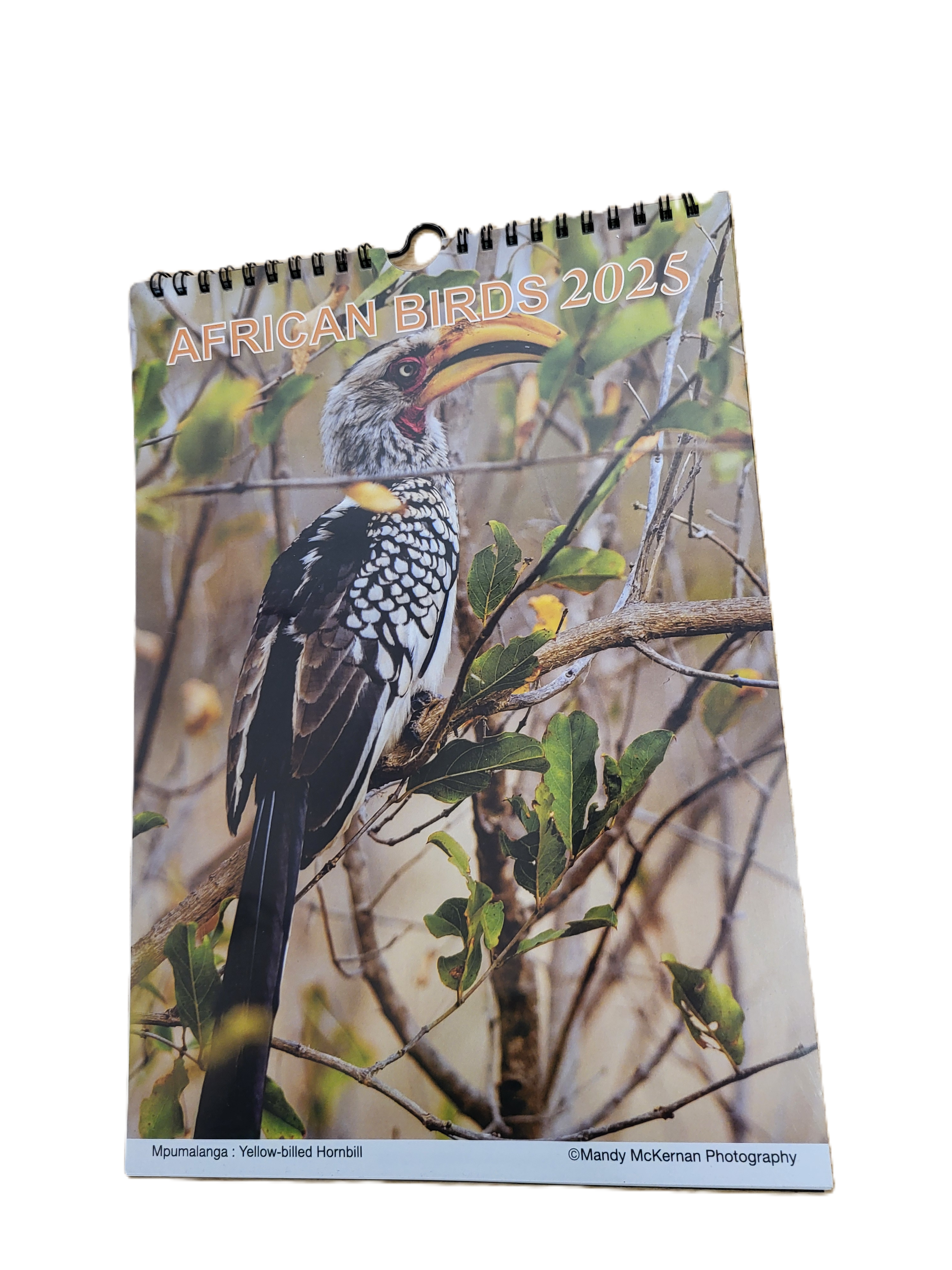 African birds calender